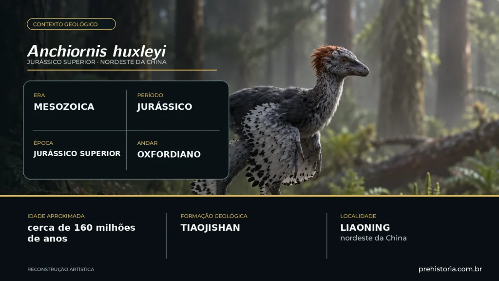 Infográfico ilustrado sobre o Anchiornis huxleyi, com era Mesozoica, período Jurássico, época Jurássico Superior, andar Oxfordiano, idade aproximada de 160 milhões de anos, Formação Tiaojishan e Liaoning, China.