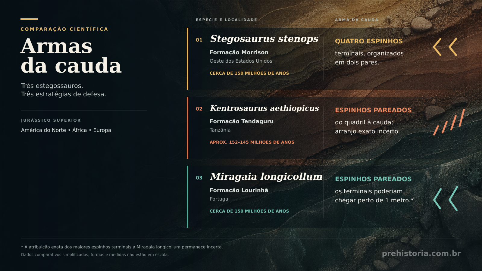 Infográfico comparando as armas da cauda de *Stegosaurus stenops*, *Kentrosaurus aethiopicus* e *Miragaia longicollum*, com locais e idades.