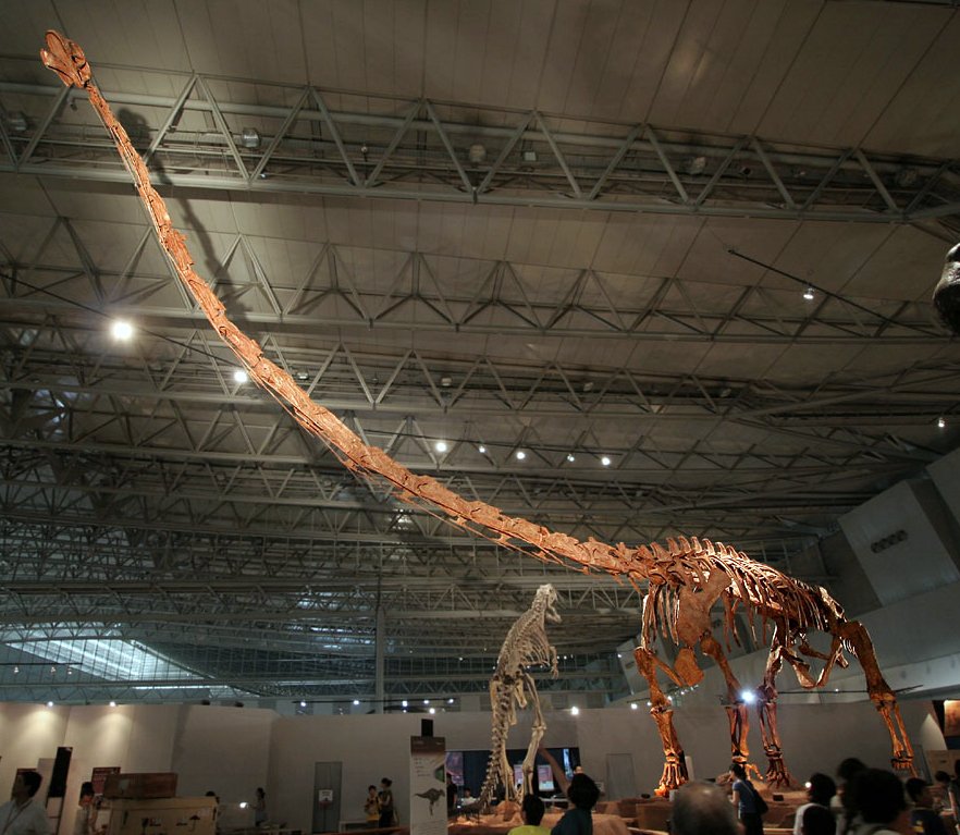 Montagem esquelética de Mamenchisaurus sinocanadorum com pescoço longo, em exposição no Japão.