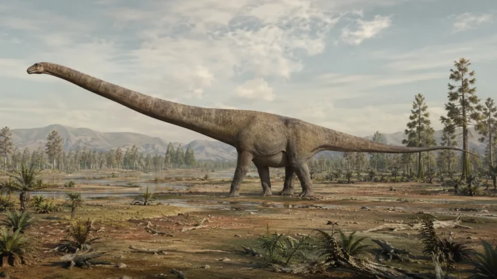 Reconstrução artística do Mamenchisaurus sinocanadorum caminhando por uma planície jurássica no atual Xinjiang, China.