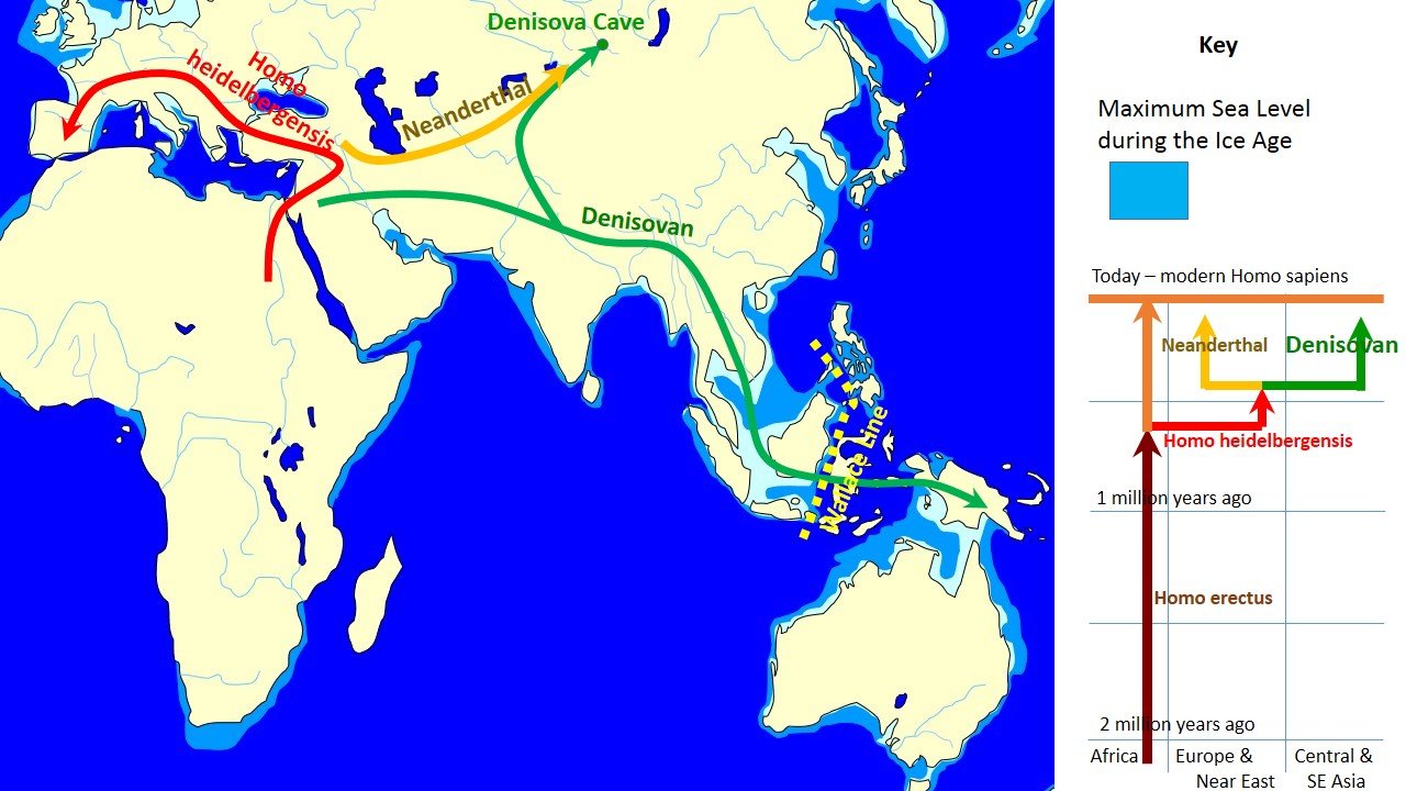 Mapa esquemático ilustrando as rotas de migração, dispersão geográfica e evolução dos denisovanos na Ásia durante o Pleistoceno